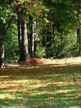 Cabins And Campground At Cultus Lake Park Hotell Chilliwack Exteriör bild